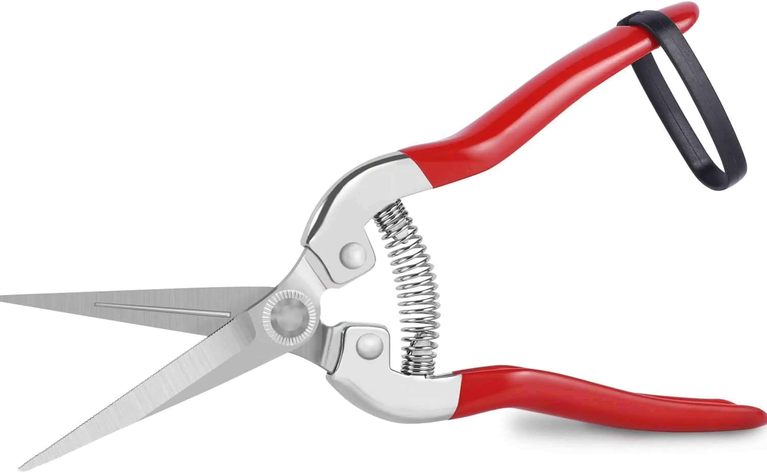 Professional garden shears for plants and flowers